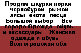 Продам шкурки норки, чернобурой, рыжей лисы, енота, песца. Большой выбор. - Все города Одежда, обувь и аксессуары » Женская одежда и обувь   . Волгоградская обл.